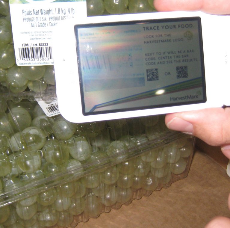 Safety for Food, si amplia il sistema IT che traccia la filiera alimentare