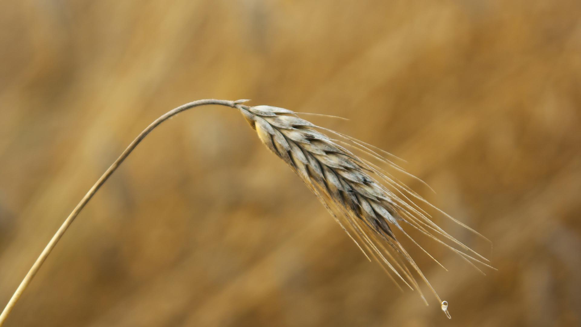 tracciabilità della logistica