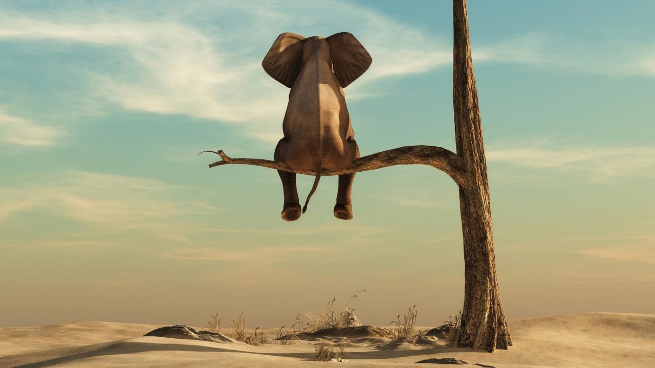 sostenibilità personale