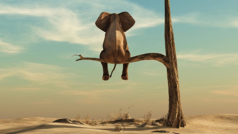 sostenibilità personale