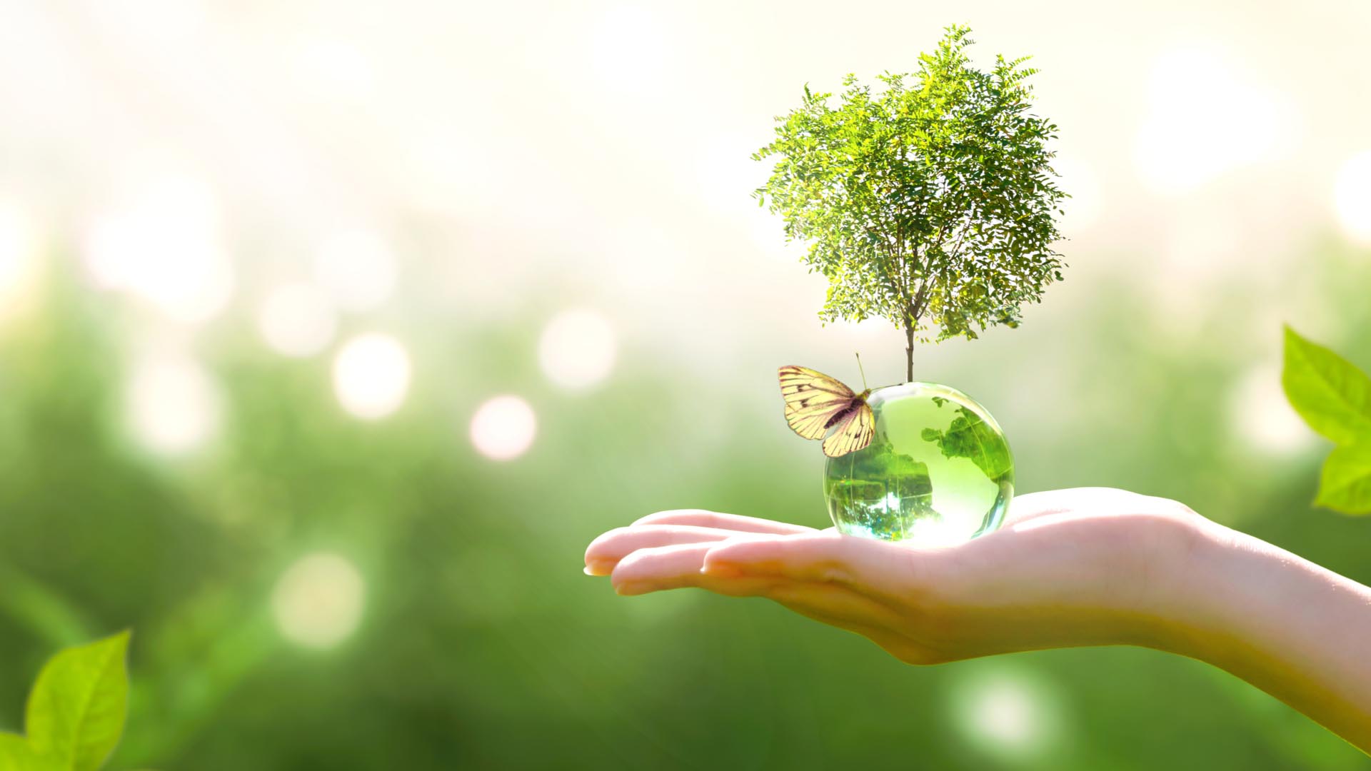 Intesa concept di Sostenibilità