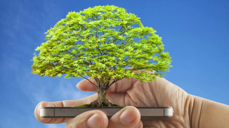 sostenibilità digitale