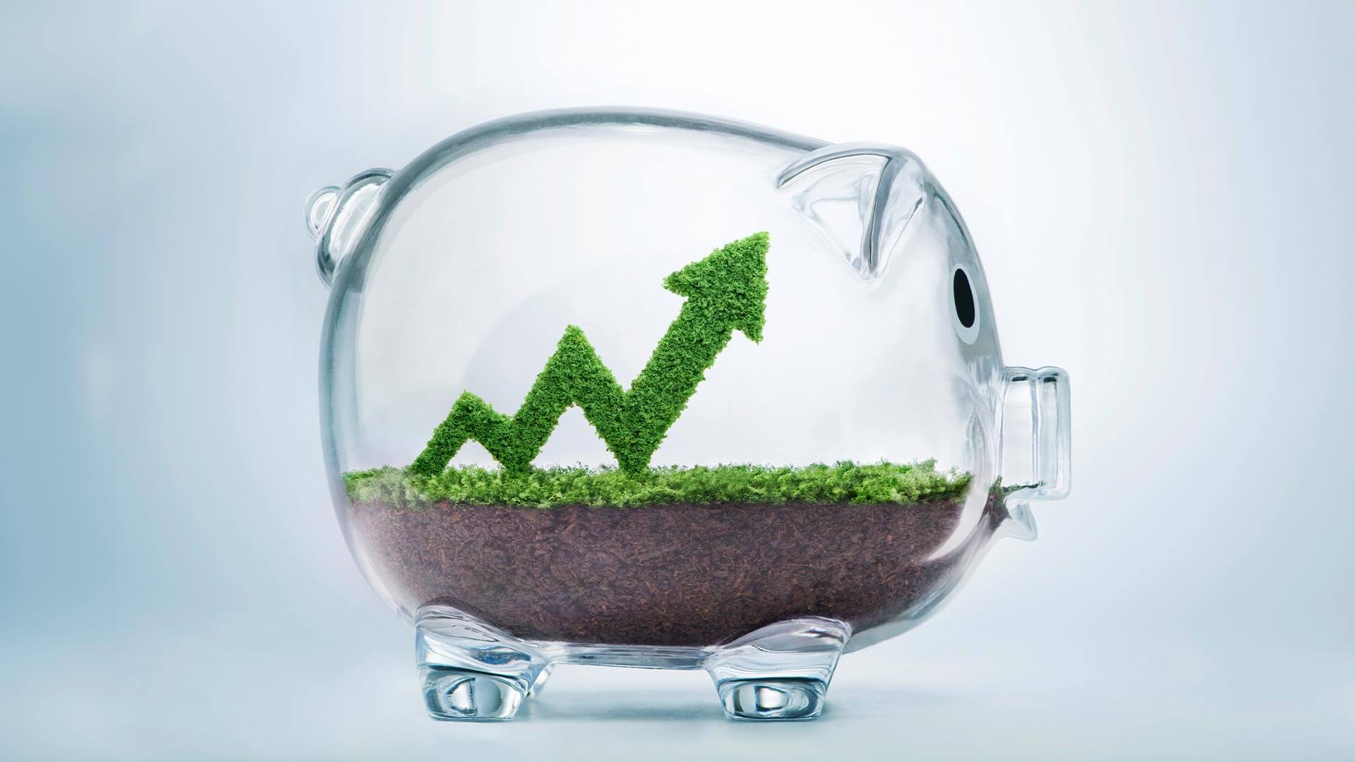 Competenze finanziarie​: porcellino salvadanaio con grafico fatto di foglie