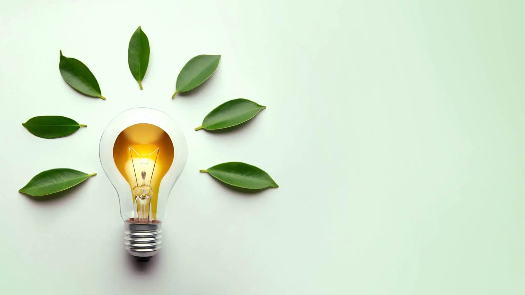Bonus Transizione Energetica 5.0