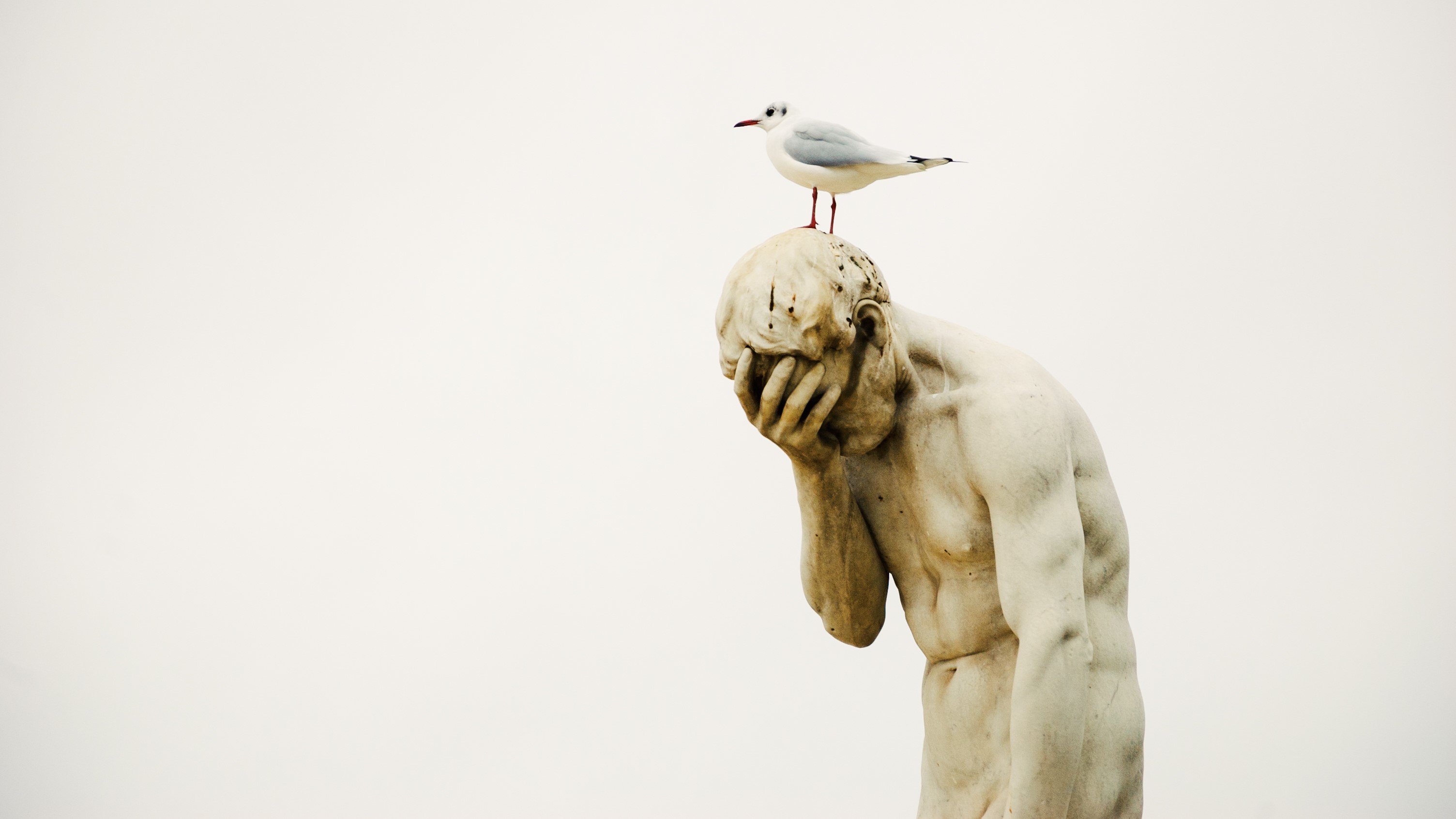 shutterstock_773045284